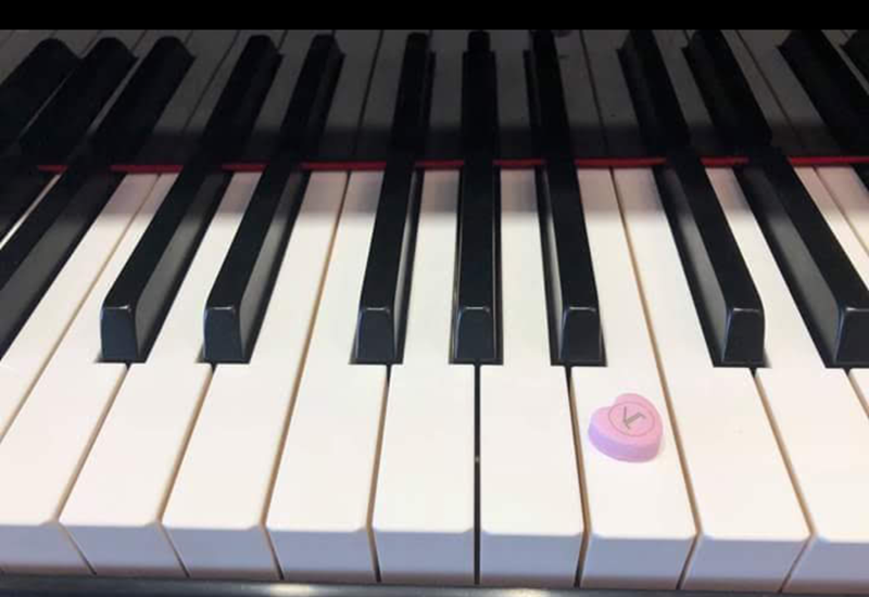 Celebrating Somerset’s Creative & Cultural Practitioners - Caroline Wallis-Newport