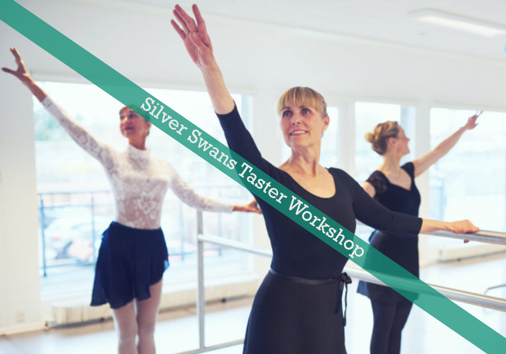 Silver Swans - Taster Workshop
