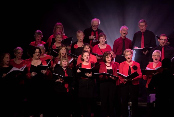 The Octagon Choir photo