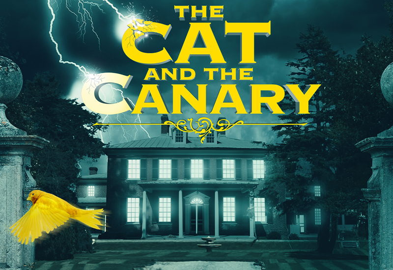 The Cat and the Canary