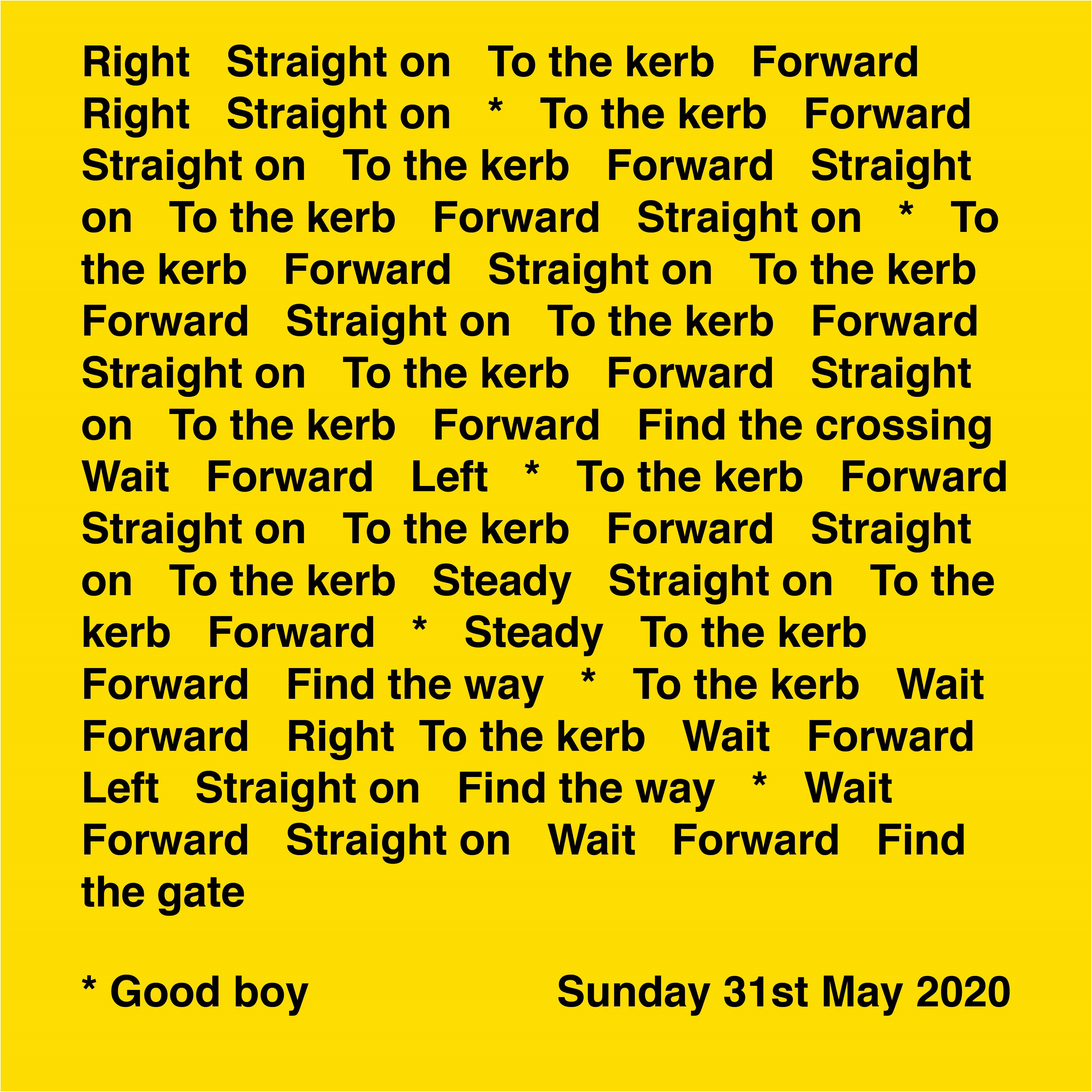 Digital Image - list of commands to Angela's guide dog. Black text on a bright yellow background