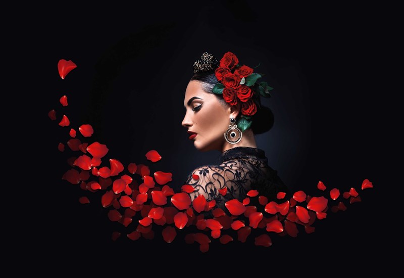 Carmen - Octagon Theatre